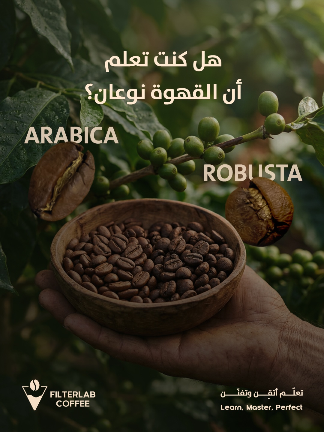 حملة اعلانية/ filterlab coffee — 1